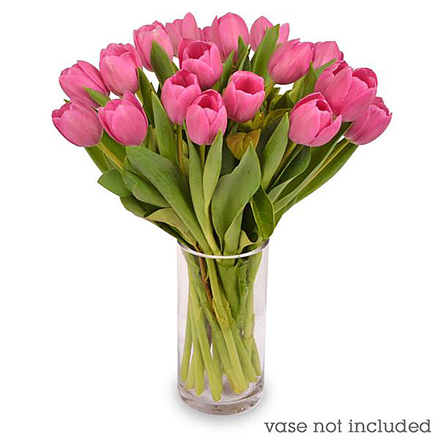 20 Pale Pink Tulips Bunch: Send Gifts To Australia