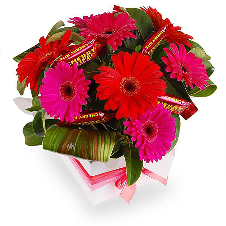 Box Arrangement of Gerberas & Choco Bars Combo: Gift Delivery in Australia