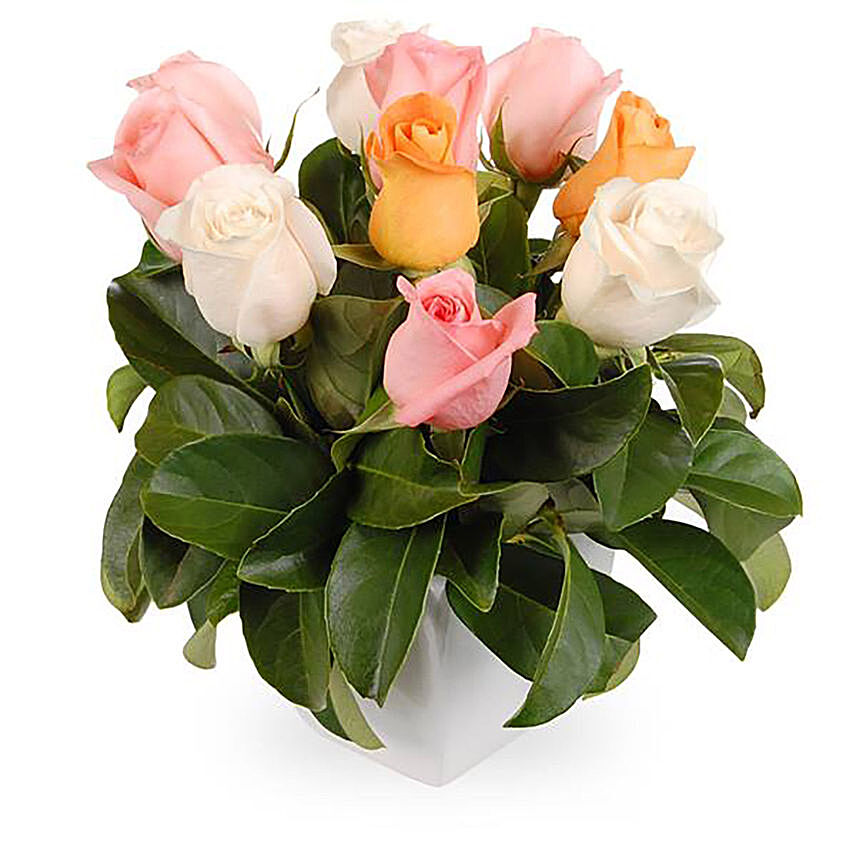 Box Arrangement of Mixed Pastel Roses & Viburnum: Send Gifts To Australia