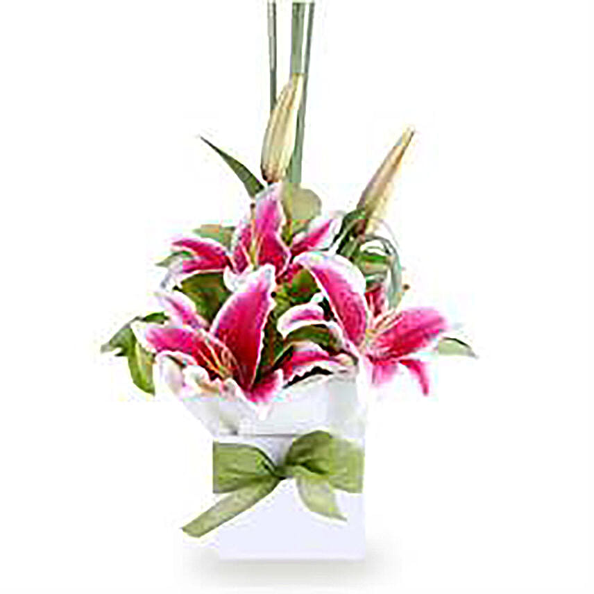 Pink Oriental Lilies Box Arrangement: Send Gifts To Australia