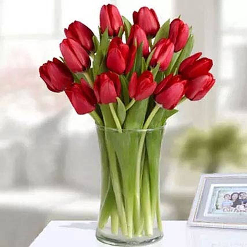 20 Red Tulip Arrangement: Premium Flowers 