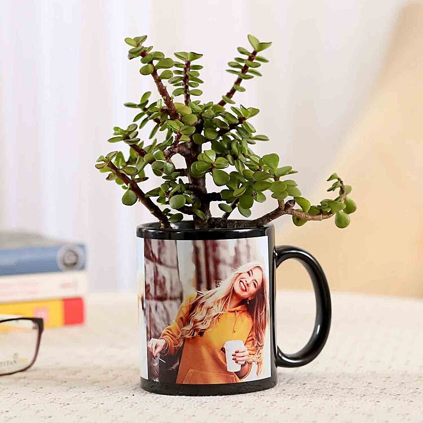 Jade Plant In Personalised Black Mug Combo: Jade Plants