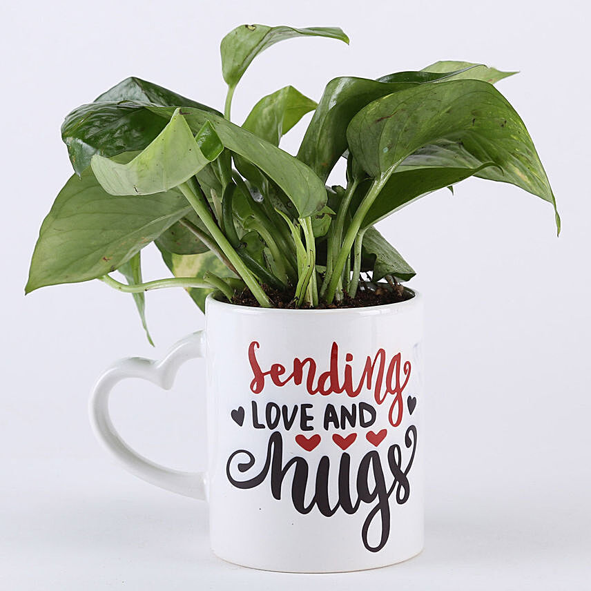 Sending Love Money Plant Mug Combo: Plants For Anniversary Gift