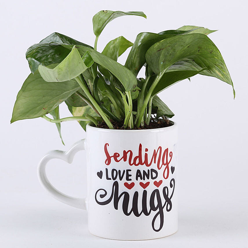 Sending Love Money Plant Mug Combo: Money Plant Singapore