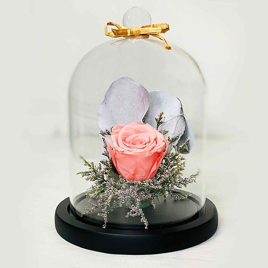 Forever Rose In Glass Dome- Pink: Gifts Delivery at Midnight 