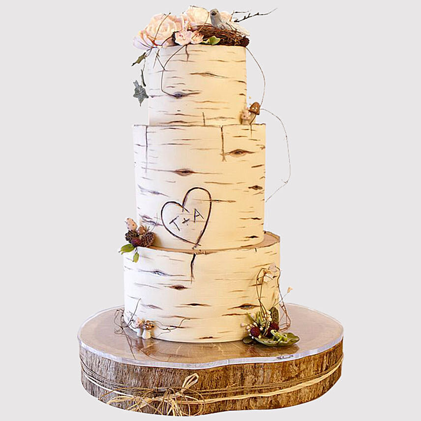 Pretty 3 Layered Engagement Cake: 2 Tier Cake