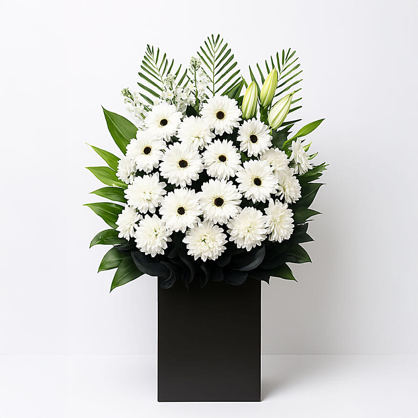 Daisy Condolence Stand: Daisy Flowers
