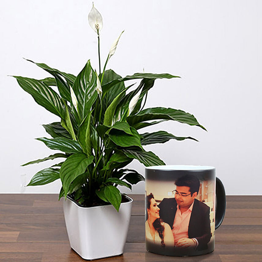 Lily Plant With Personalised Magic Mug: Personalised Anniversary Gifts