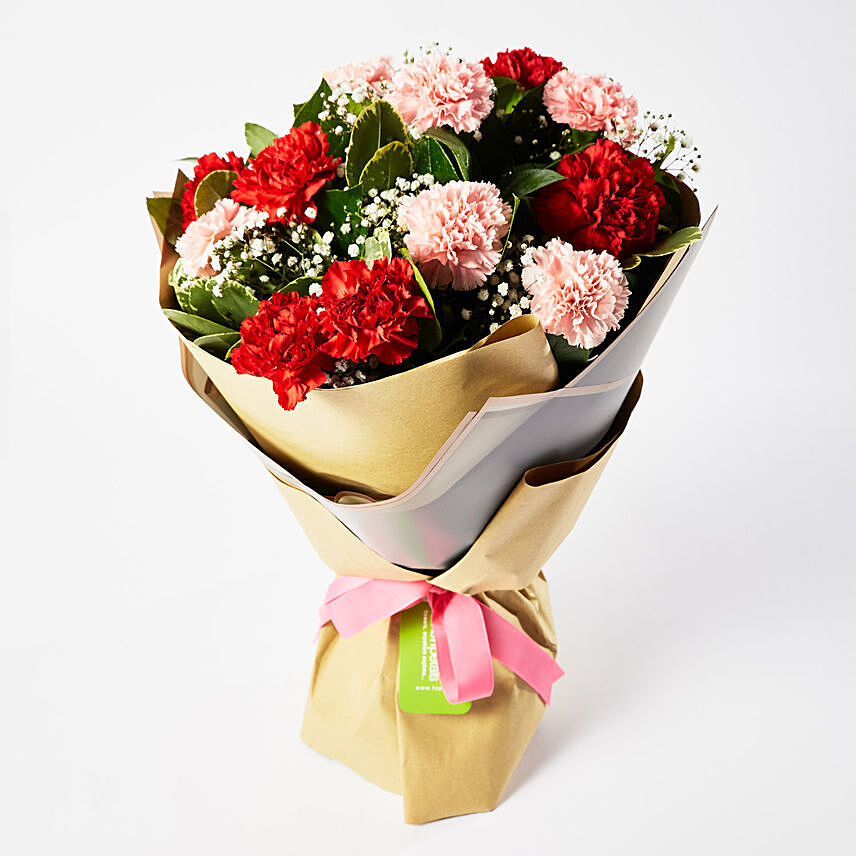 Appealing Carnations Bouquet: Carnations Arrangements 