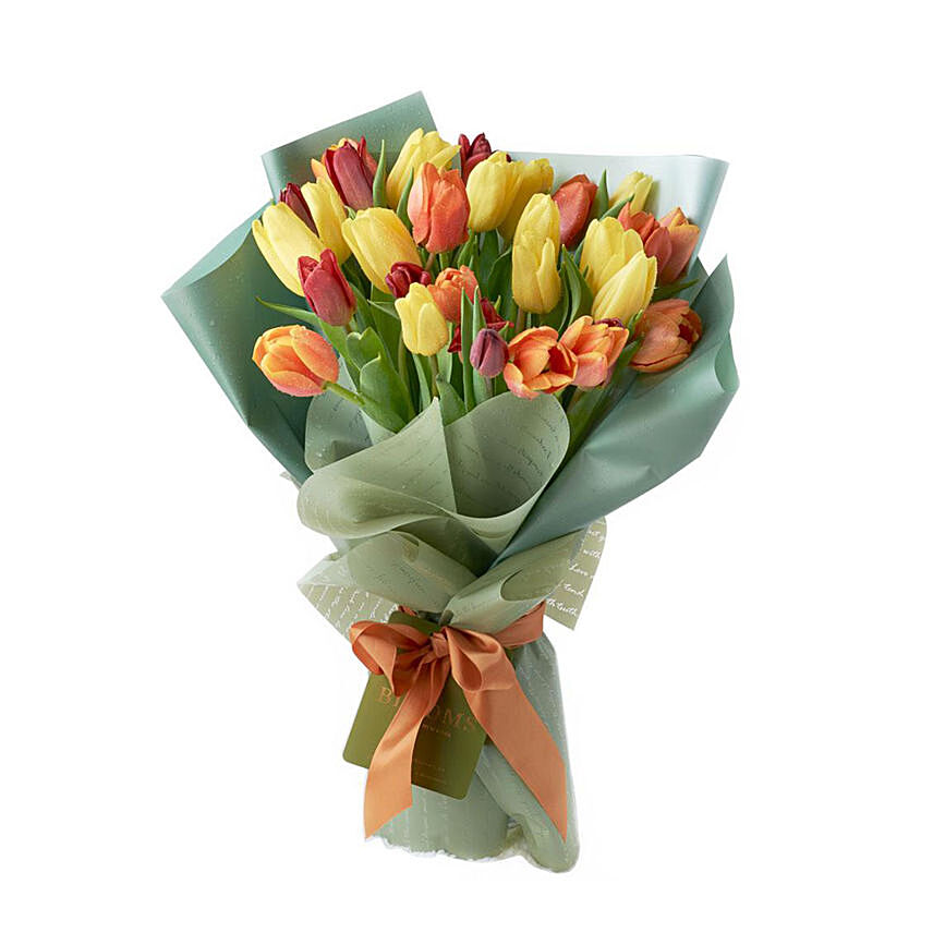 Beautifully Wrapped Mixed Tulips Bouquet: Tulips Bouquet