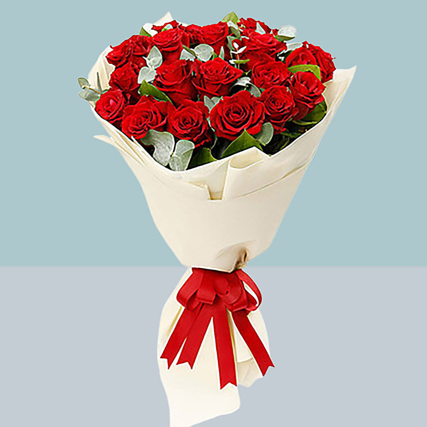 Bouquet of 20 Roses: Apology Gift