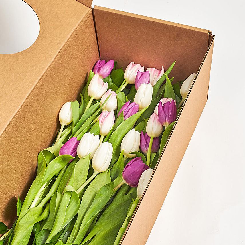 Lovely Mixed Tulips Box: Tulips Bouquet