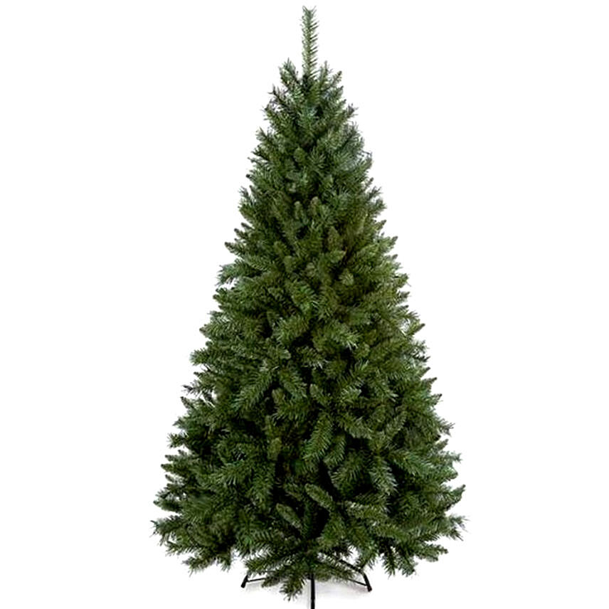 Real Pine Christmas Tree 50 Cms: Xmas Gifts for Mother