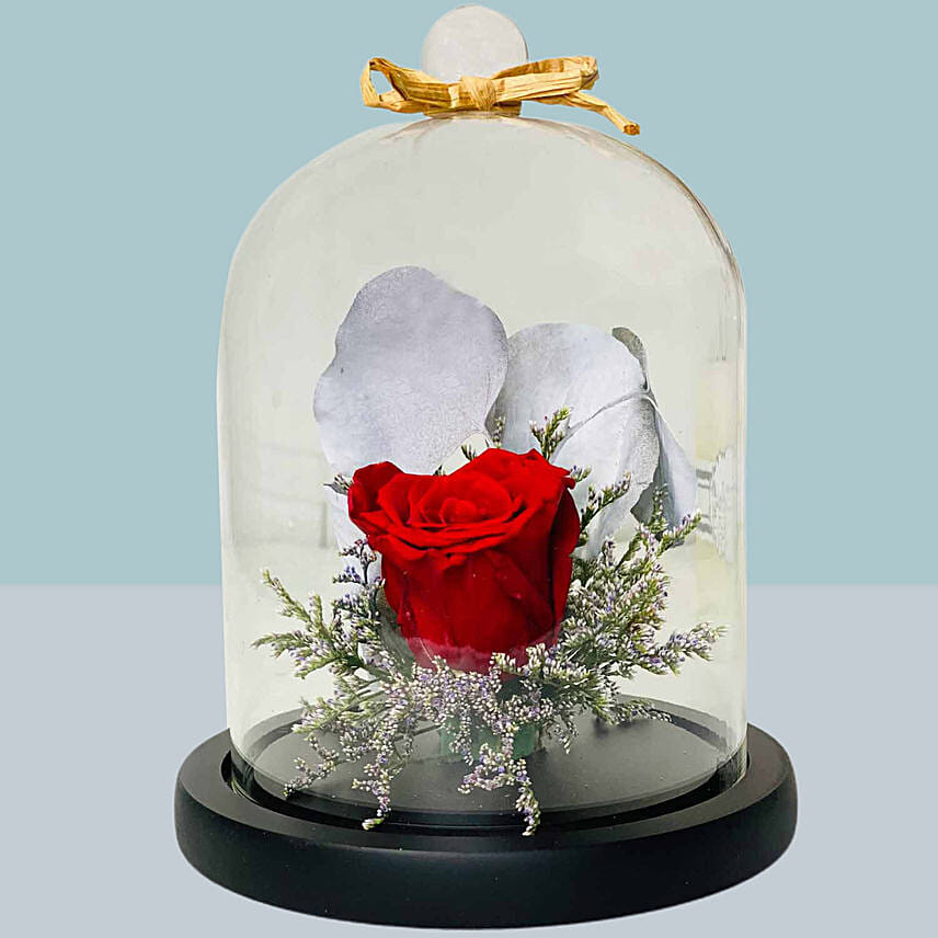 Red Forever Rose in Dome for Valentines Day: 520 Special Gifts