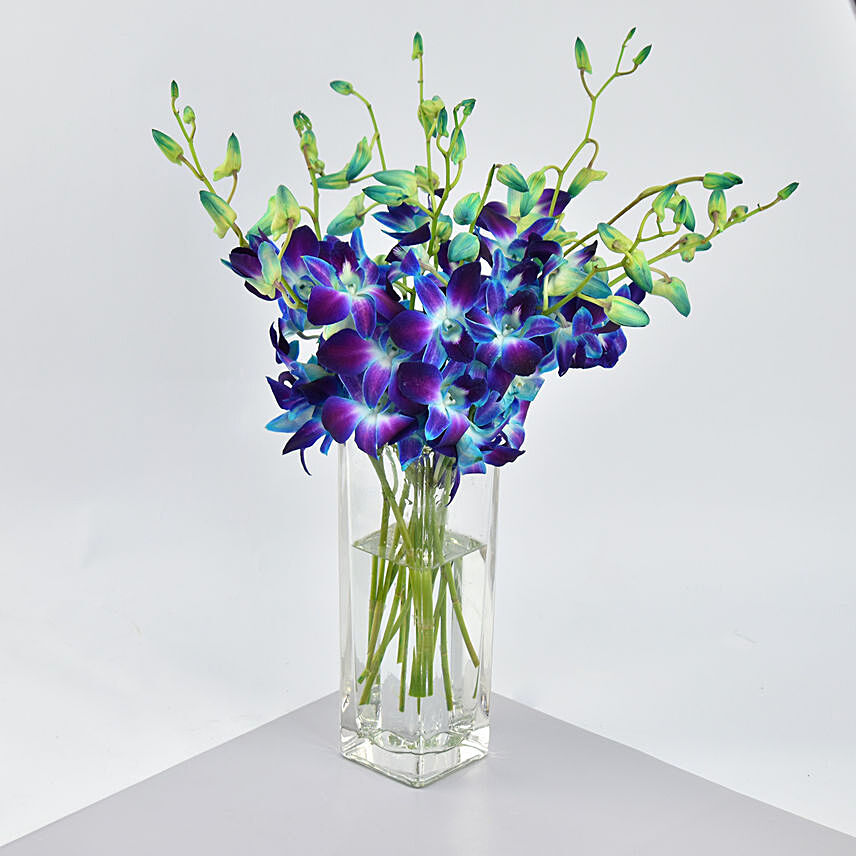 Mesmerizing Blue Orchids: Mens Day Gifts