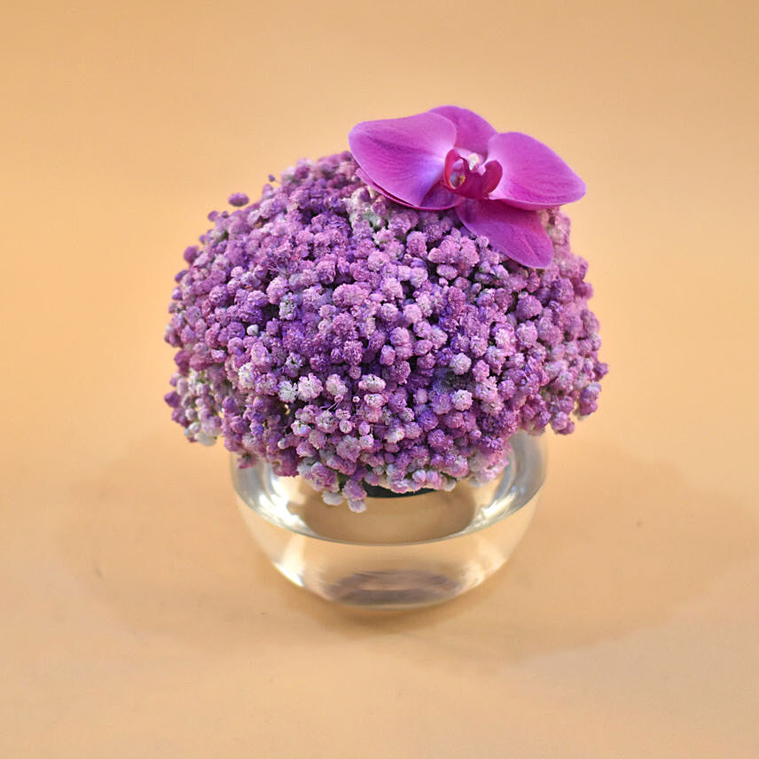 Purple Baby Breath & Phalaenopsis Fish Bowl Vase: Newborn Baby Flowers Singapore