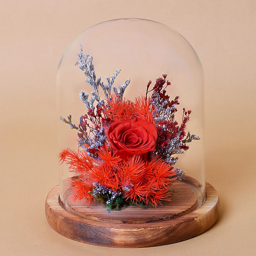 Forever Rose In Glass Dome: Anniversary Flowers