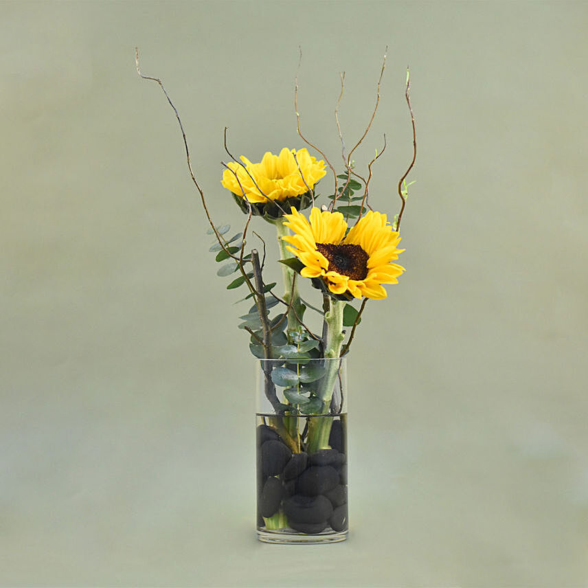 Sunny Sunflowers Cylindrical Vase: Sunflower Bouquets