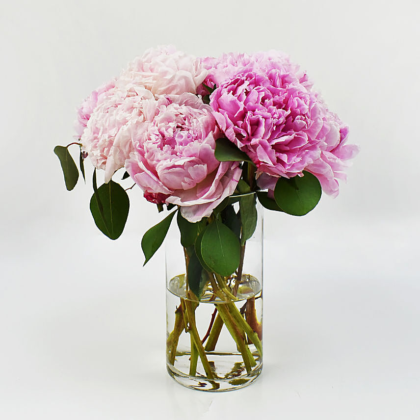 Light Pink Peonies: Peony Bouquets