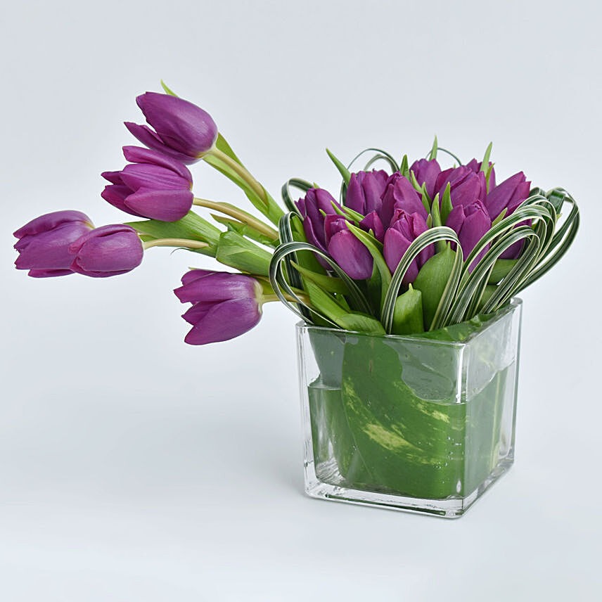 Entwine Tulip: Women's Day Gifts