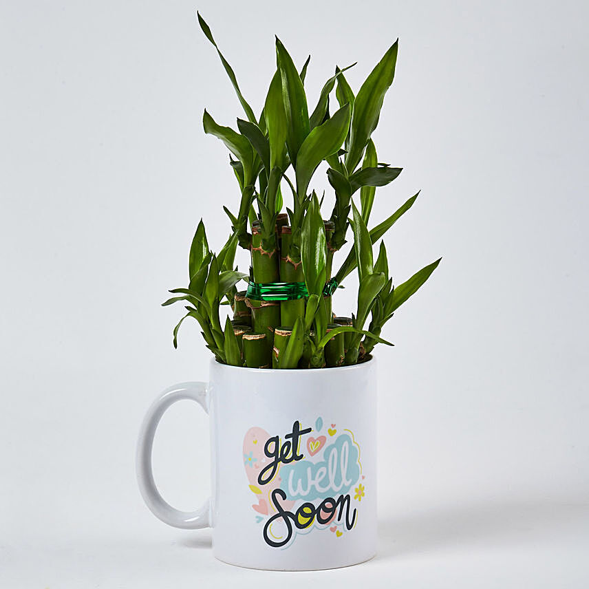 Bamboo Plant In Get Well Soon Mug: 