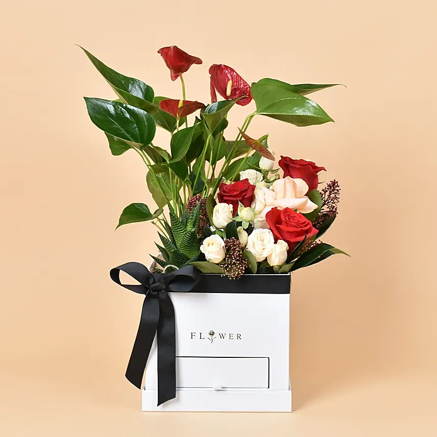 Flowers and Plants Box: Anthuriums Onliine