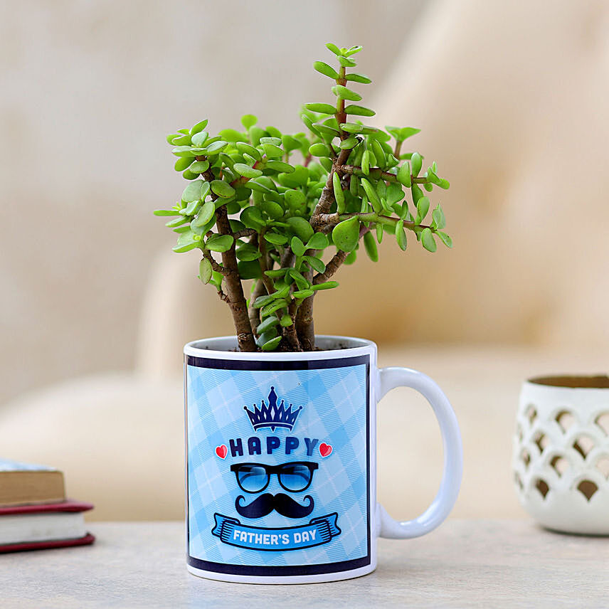 Jade Plant In Printed Mug For Dad: One Hour Plants Delivery in Singapore 