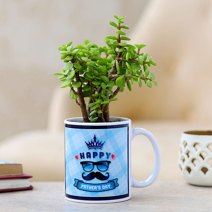 Jade Plant In Printed Mug For Dad: Jade Plant Singapore