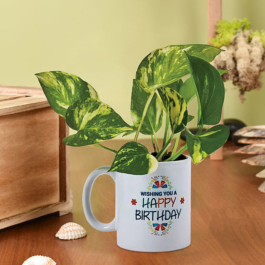 Money Plant In Happy Birthday Mug: One Hour Delivery Singapore