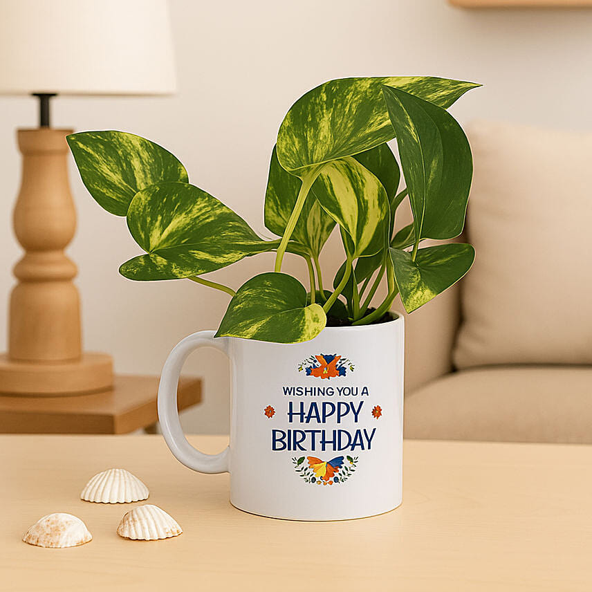Money Plant In Happy Birthday Mug: Plants Singapore