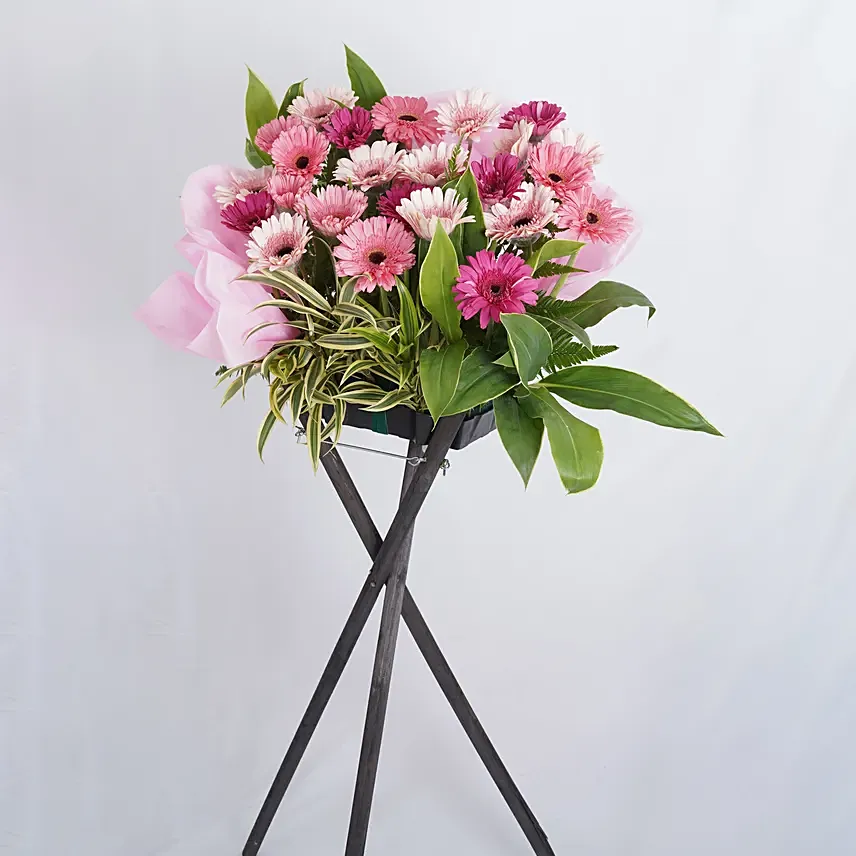 Appreciable Congratulatory Flower Stand: Gerbera Flowers