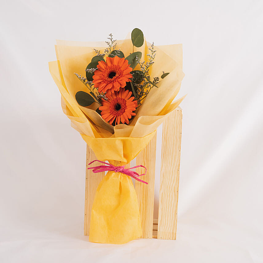 Cherry Red Gerbera Bouquet: 