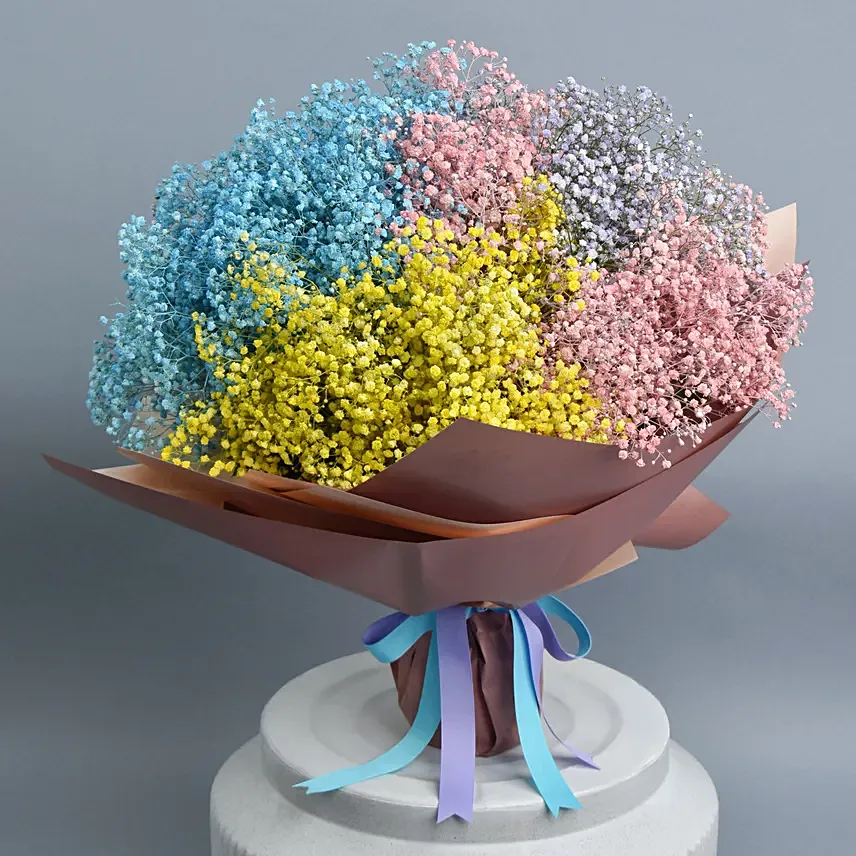 Rainbow Clouds: New Arrival Flowers