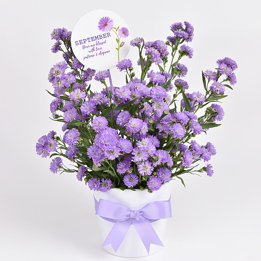 September Birthday Aster Floral Arrangement: Birthday Flower Bouquets
