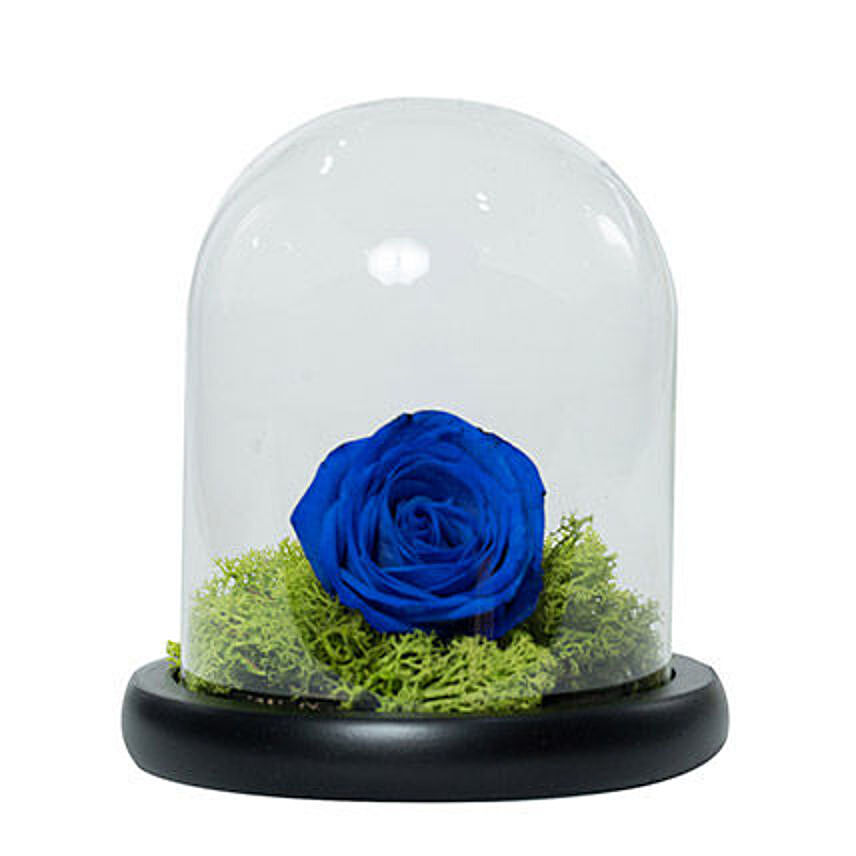 Elegant Blue Rose: Blue Flowers Bouquets