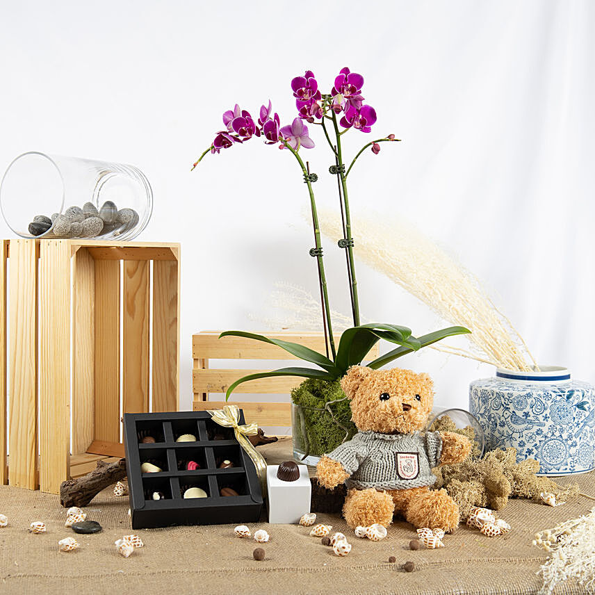 Dual Stem Orchid Plant with Chocolate and Teddy: Orchid Plants Singapore