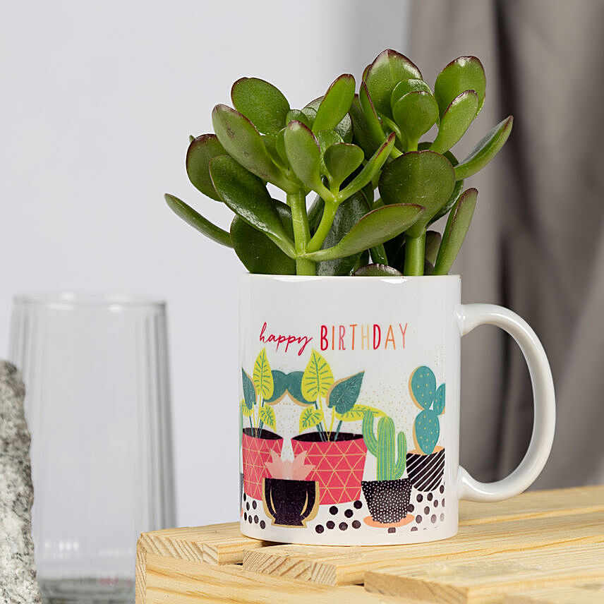 Crassula Plant Birthday Mug: 