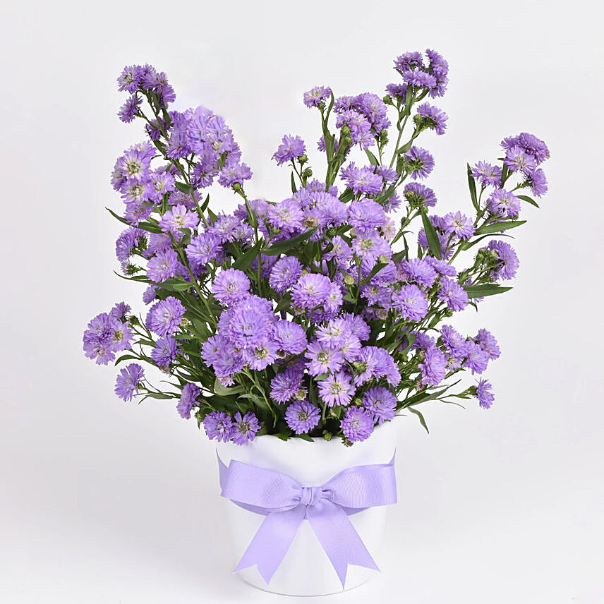 Birthday Aster Floral Arrangement: Birthday Bouquets