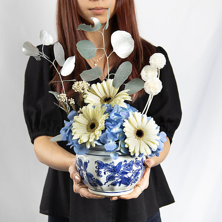 Cheerful White and Blue Flower: Mixed Flowers