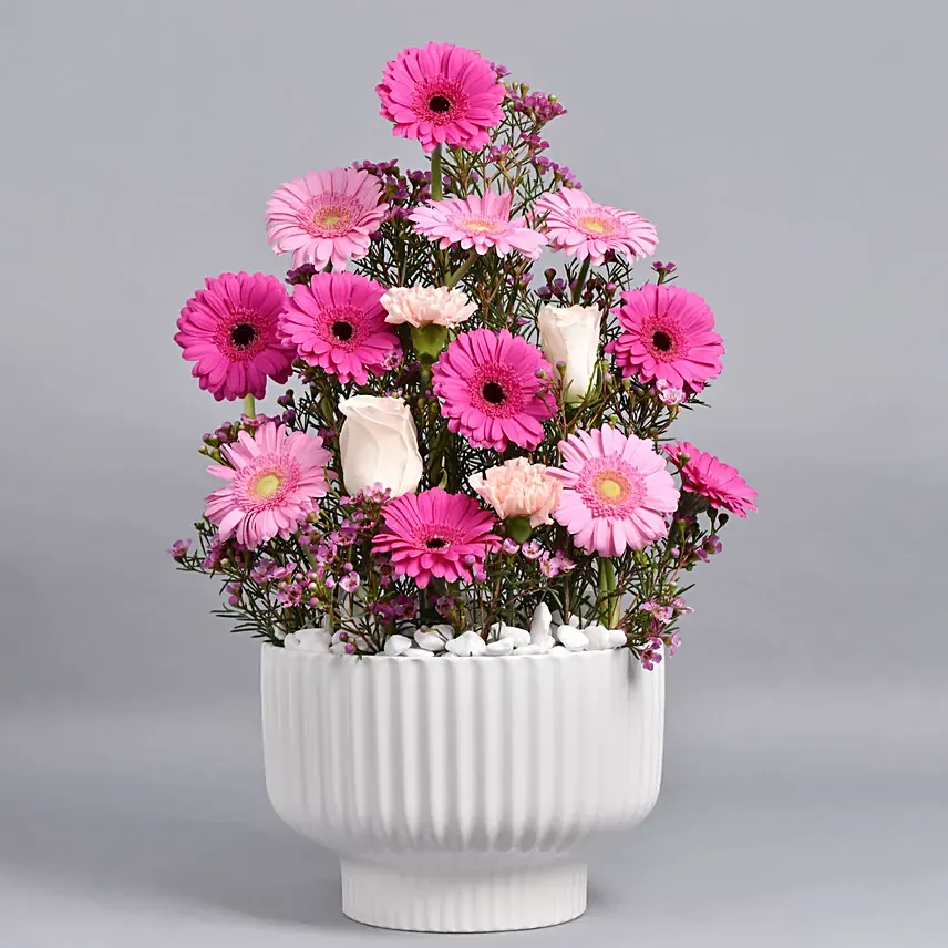 Gerberas Beauty: Thanksgiving Gifts Singapore