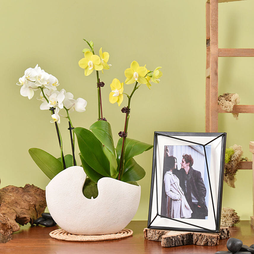 Mini Orchids with Photo Frame: Personalised Anniversary Gifts