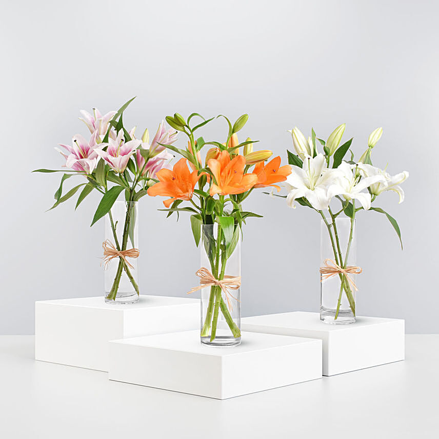 Lilies Beauty Trio: Happy Birthday Flowers