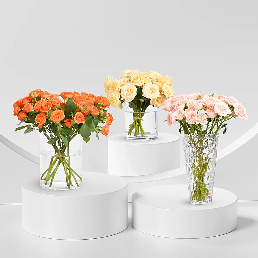 Trio of Rose Beauty: Birthday Flower Arrangements