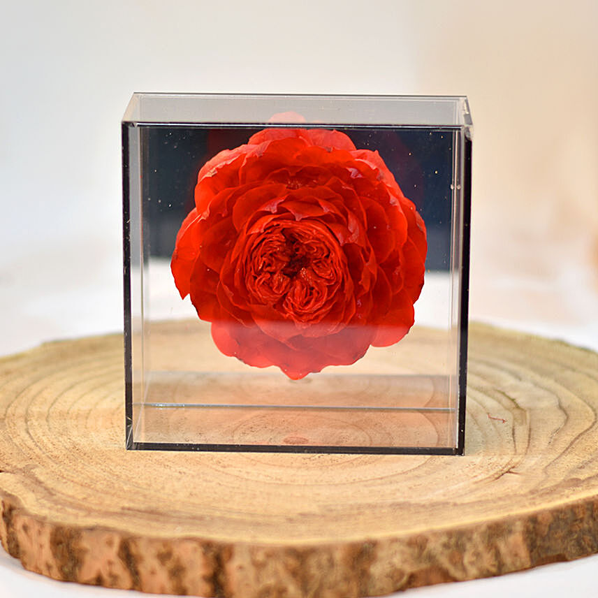 Red Soap Peony with Black Transparent Box: Valentines Day Gifts Singapore