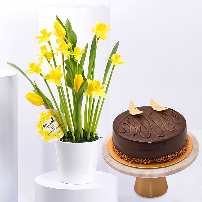 Daffodils N Tulip Pot with Cake: Flower Arrangements With Cake