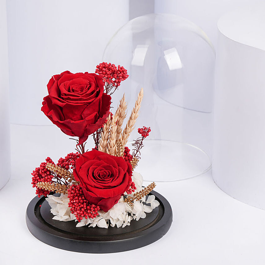 Dual Red Forever Roses in Dome: Anniversary Gift Ideas