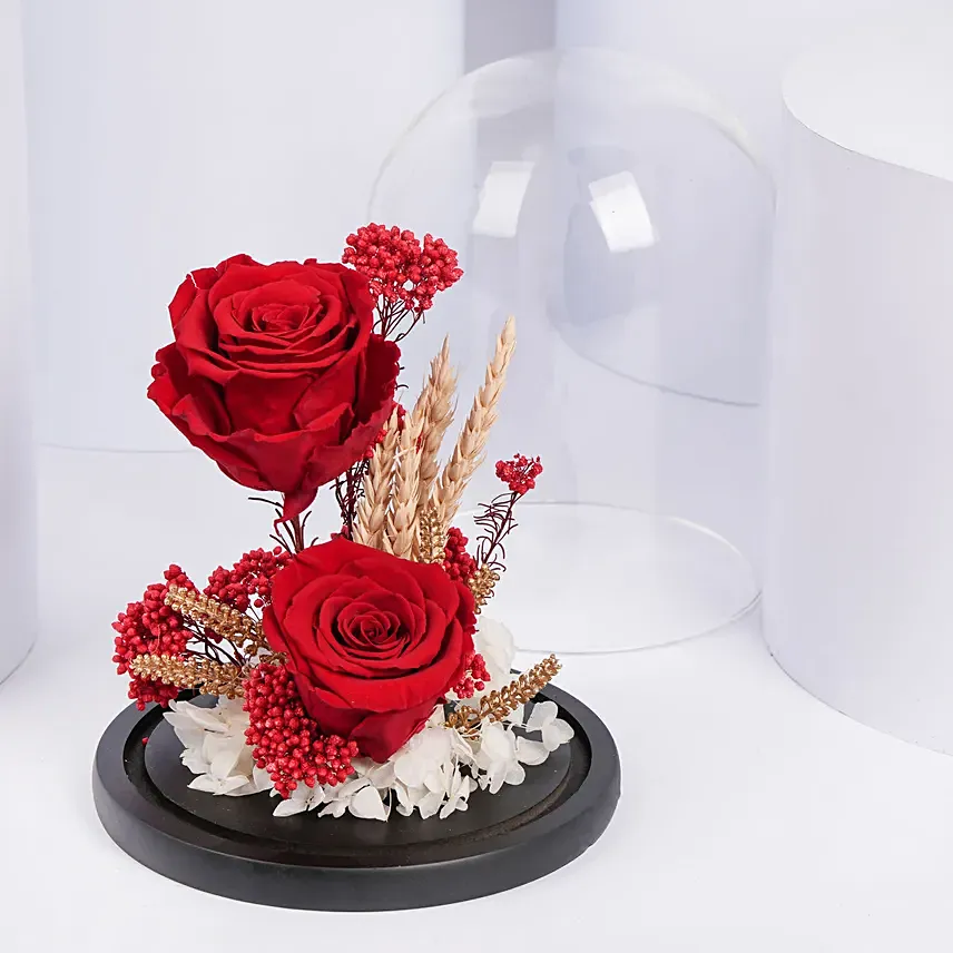 Dual Red Forever Roses in Dome: Anniversary Gift Ideas