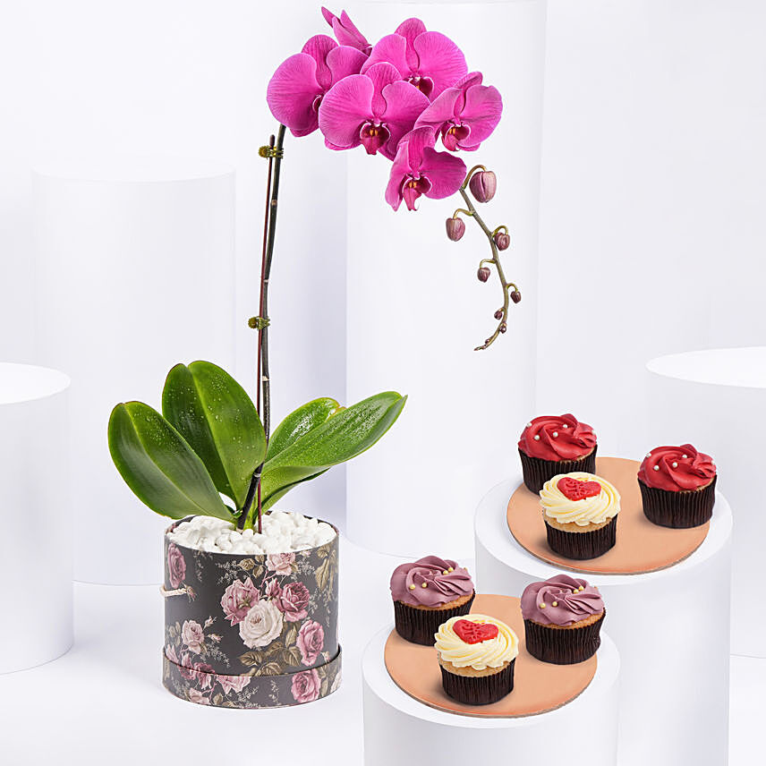 Purple Orchid Plant with Cupcakes: Mothers Day Cake Singapore