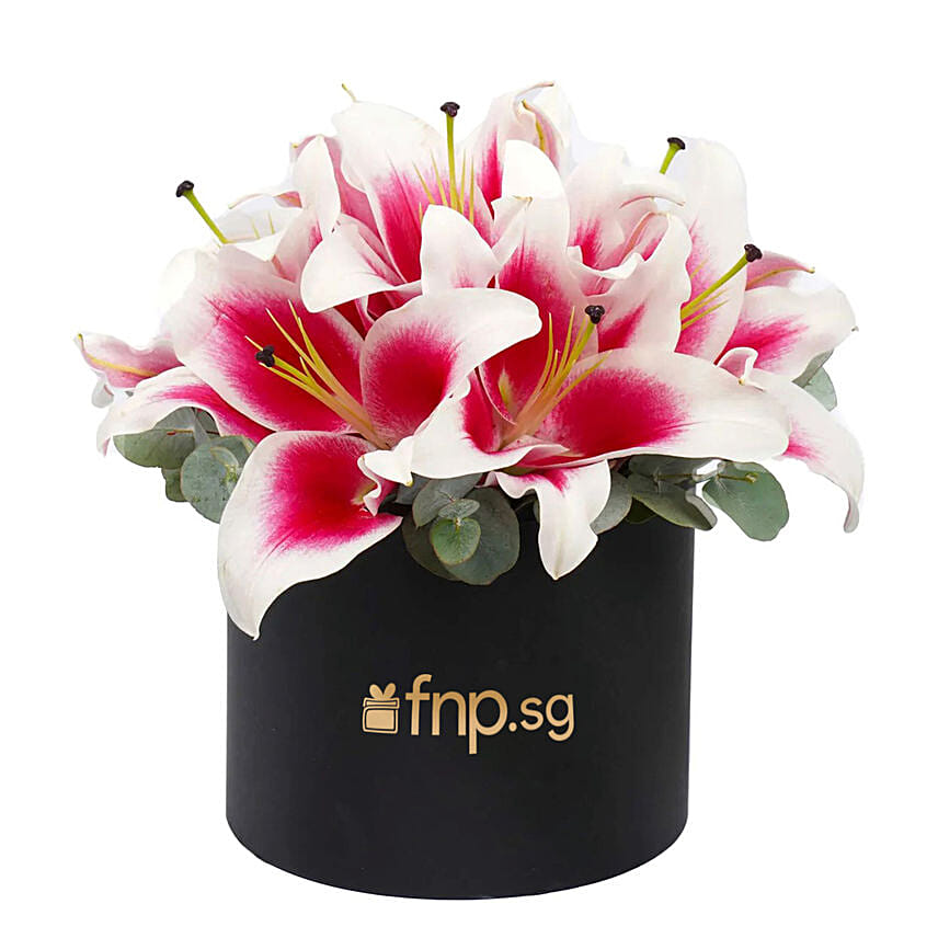 Pretty Pink Lilies: Peonies Flowers