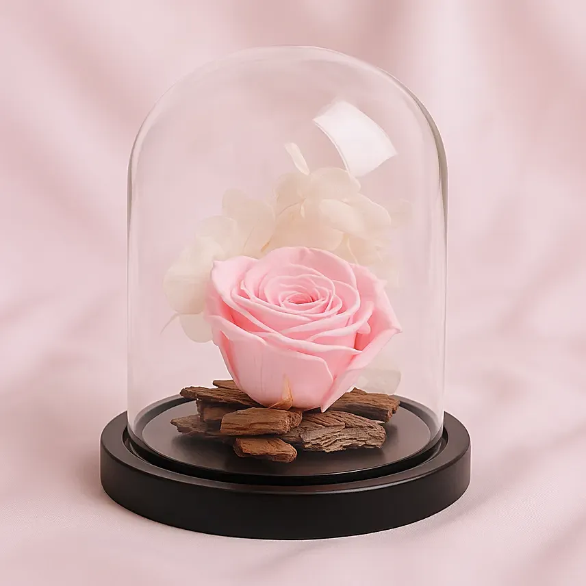 Graceful Pink Forever Rose: Preserved Flowers Singapore